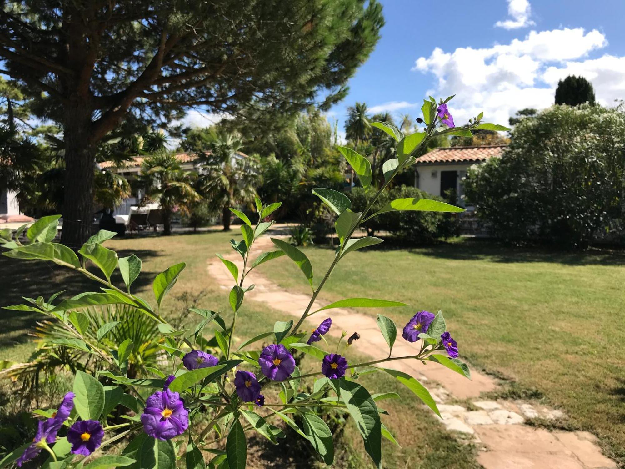 Le Jardin Des Portes Les Portes-en-Re Exterior foto