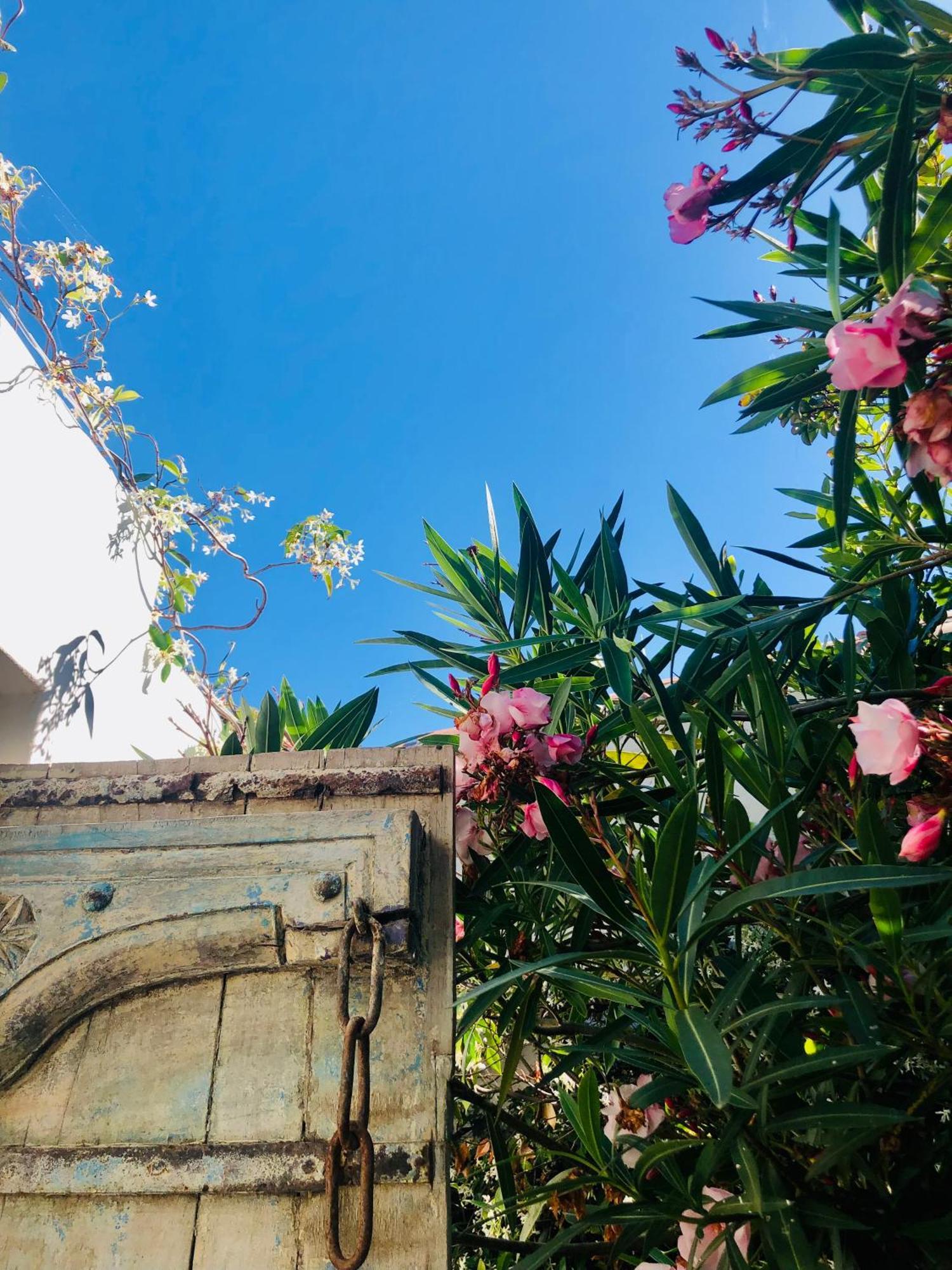 Le Jardin Des Portes Les Portes-en-Re Exterior foto